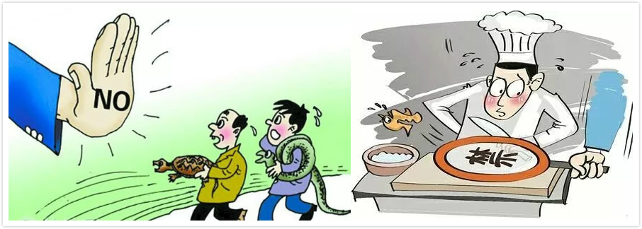 【生命迈幼.安全第一】健康饮食，预防先行_html_1f425f01.jpg