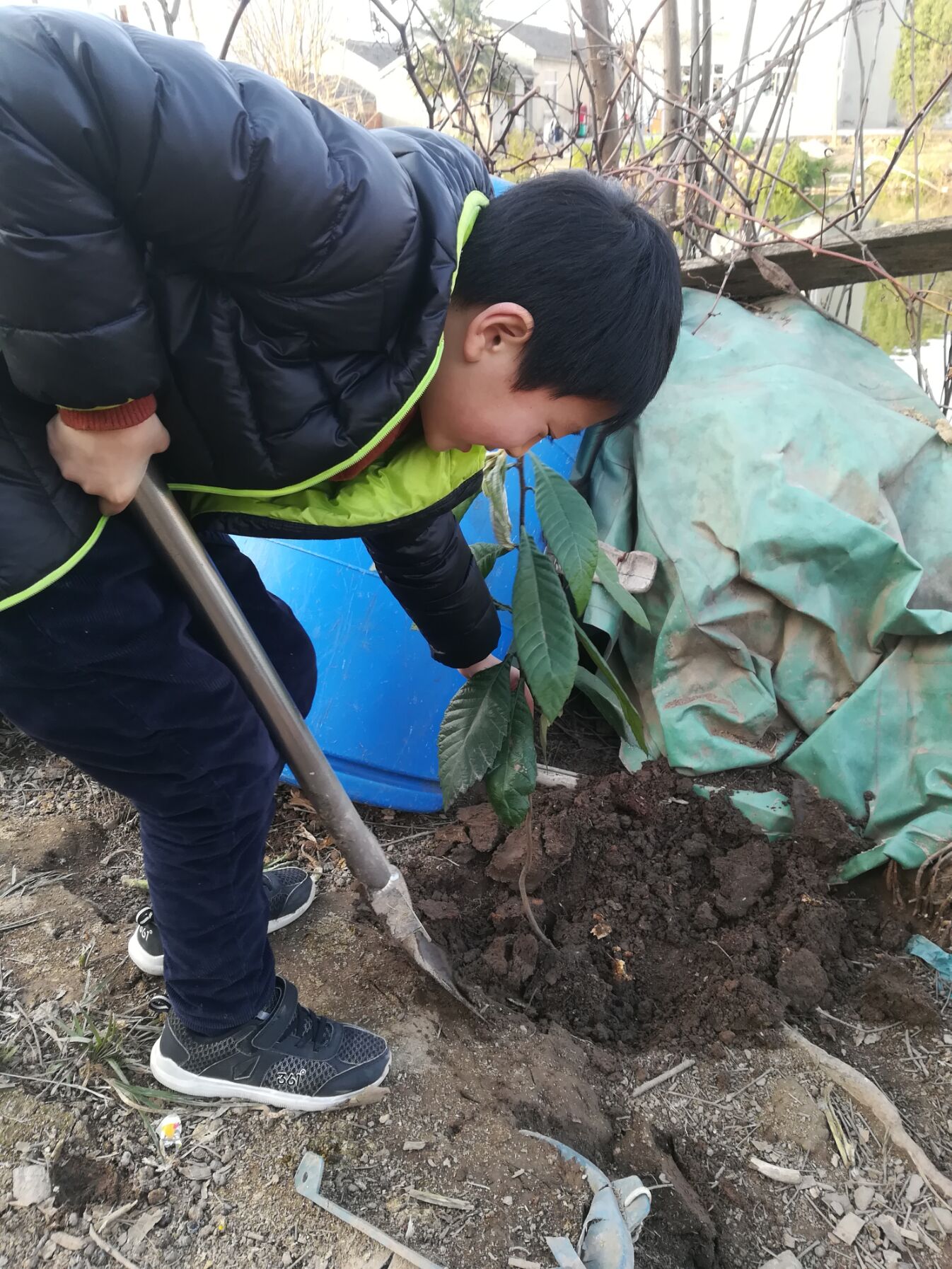 种下一颗树 (7).jpg