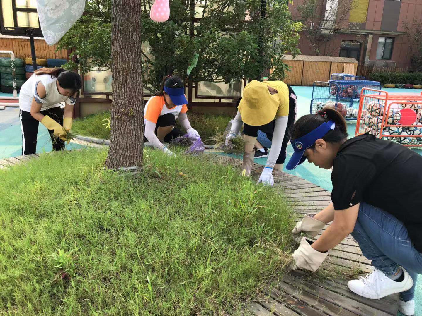 保育老师清理杂草