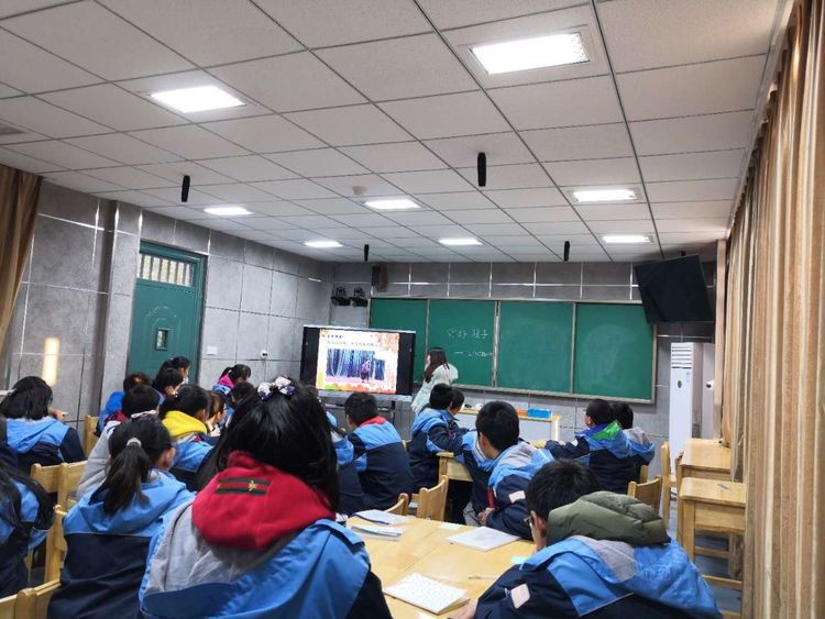 青年班主任成长——我校崔恒兰老师参加区班会课赛课_html_m2e29e04f.jpg