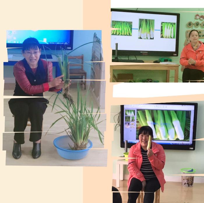 让好奇的种子在心中发芽 ——记龙潭靖安分园科学组活动