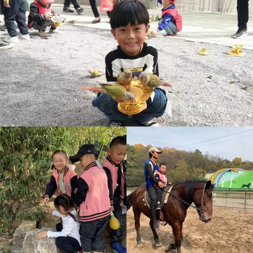 20191101亲子秋游活动(1)_html_m6a64c9fe.jpg