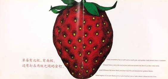 C:\Users\Administrator\Desktop\【生命迈幼❤悦读阅美】第二期“纯子姐姐讲故事”——《爷爷变成了幽灵》201804.5陈文倩\草莓 图片\15.JPG15