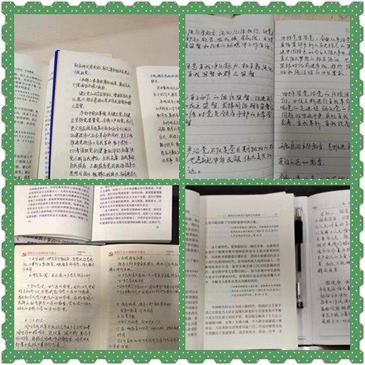 【养正颐小】兢兢业业干事  清清白白做人 ——中电党支部学习《“不忘初心 牢记使命”论述摘编》