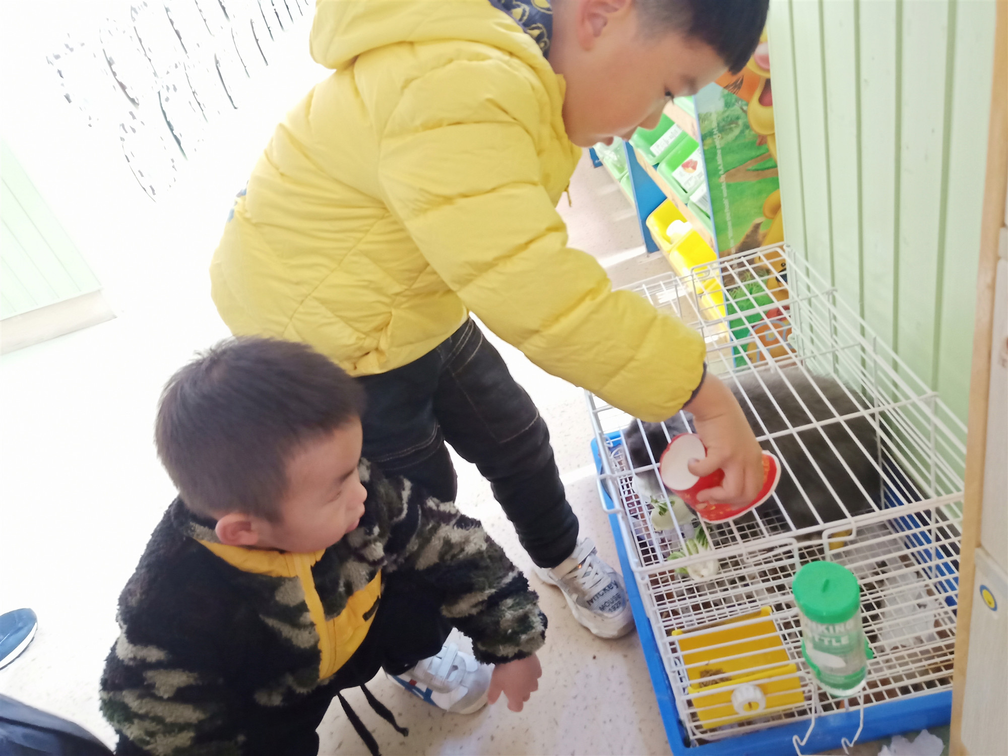 2020.1.8小五班小兔项目报道_html_4ae67cd7.jpg