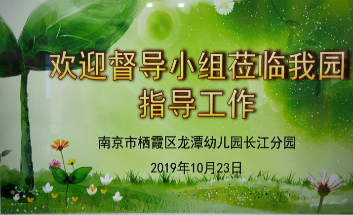【乐活龙幼】督评引领促成长，规范办园促提升 ——龙潭幼儿园长江分园