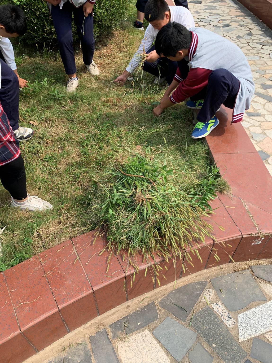 20191007中桥中学半月德育集锦(2)(4)_html_m5ad71ad8.jpg