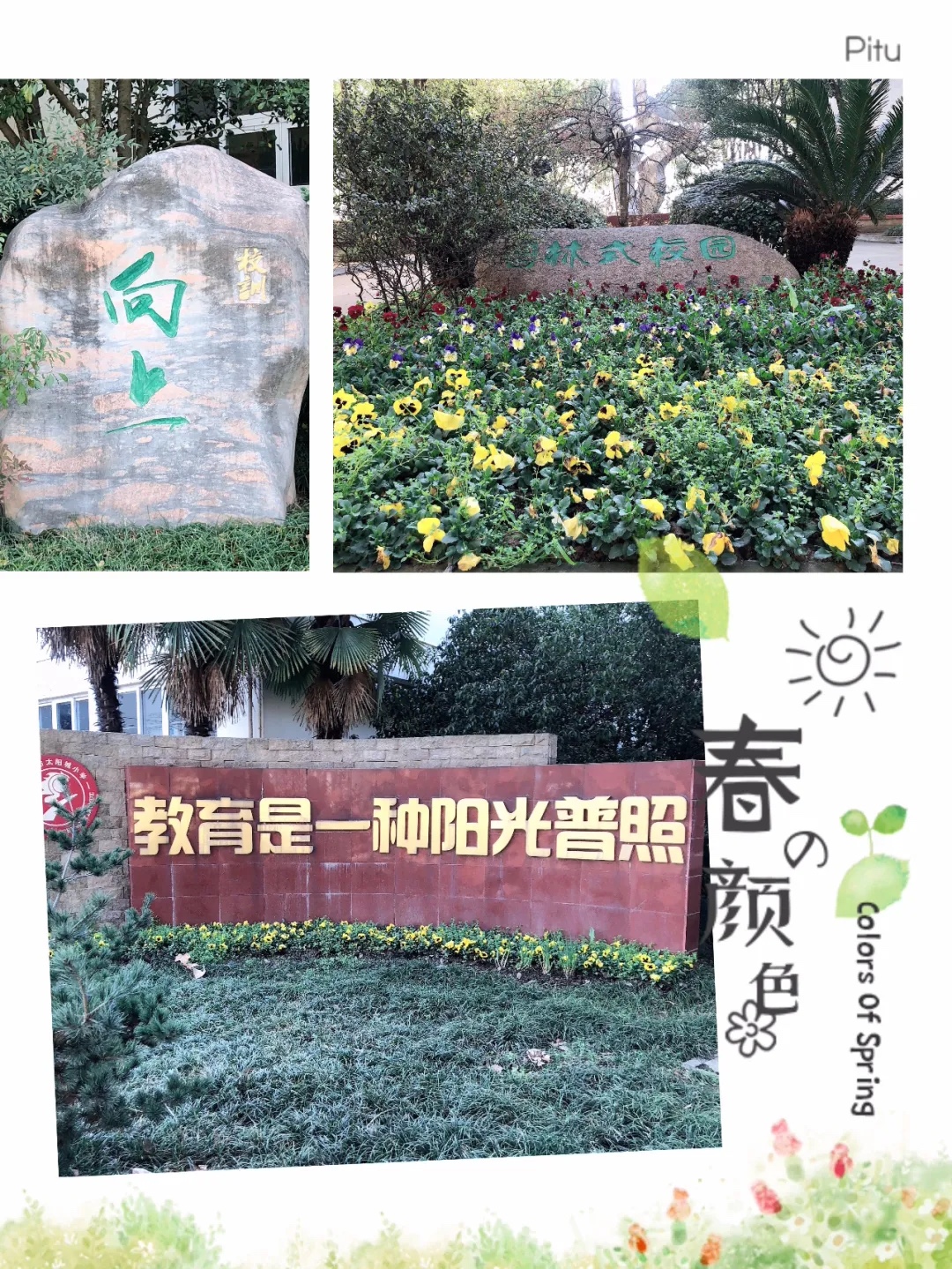 探校·“云上”春天  太阳城小学1.jpg