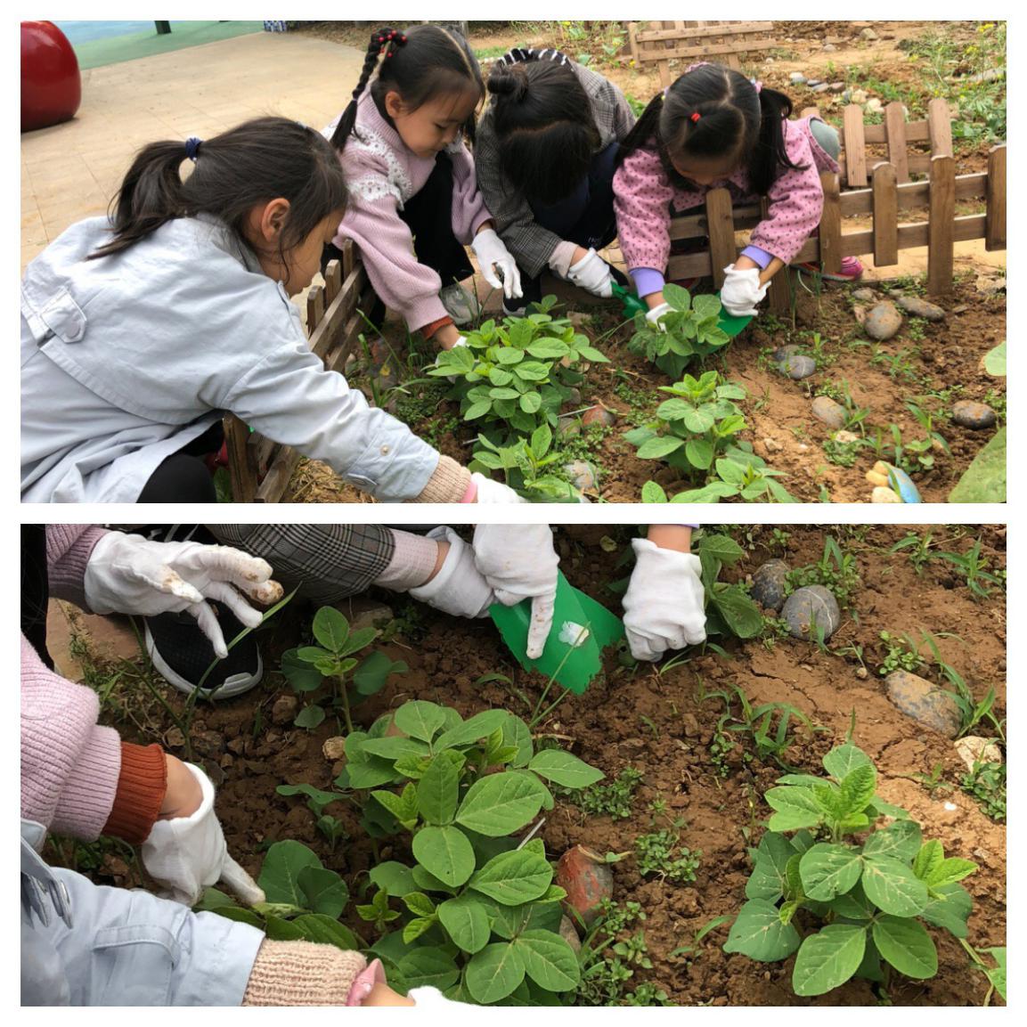 20190419谷雨活动_html_m219f1013.jpg