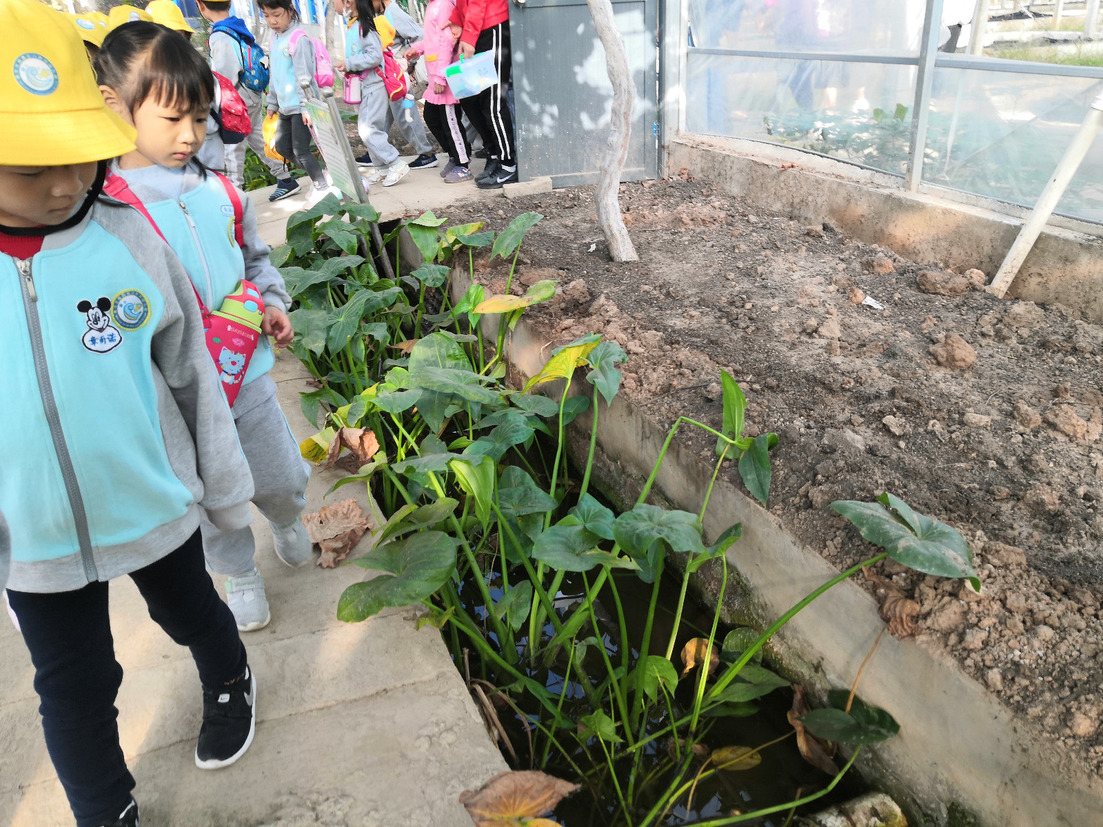 IMG_0780(20191105-145826).JPG IMG_0780(20191105-145826).JPG