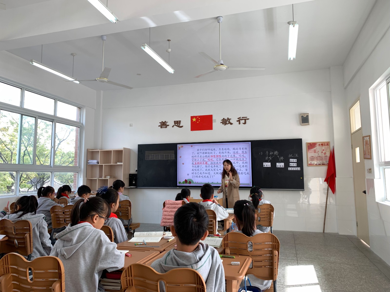 以读代讲促理解   聚焦方法提效率——记紫金小学“知新课堂”