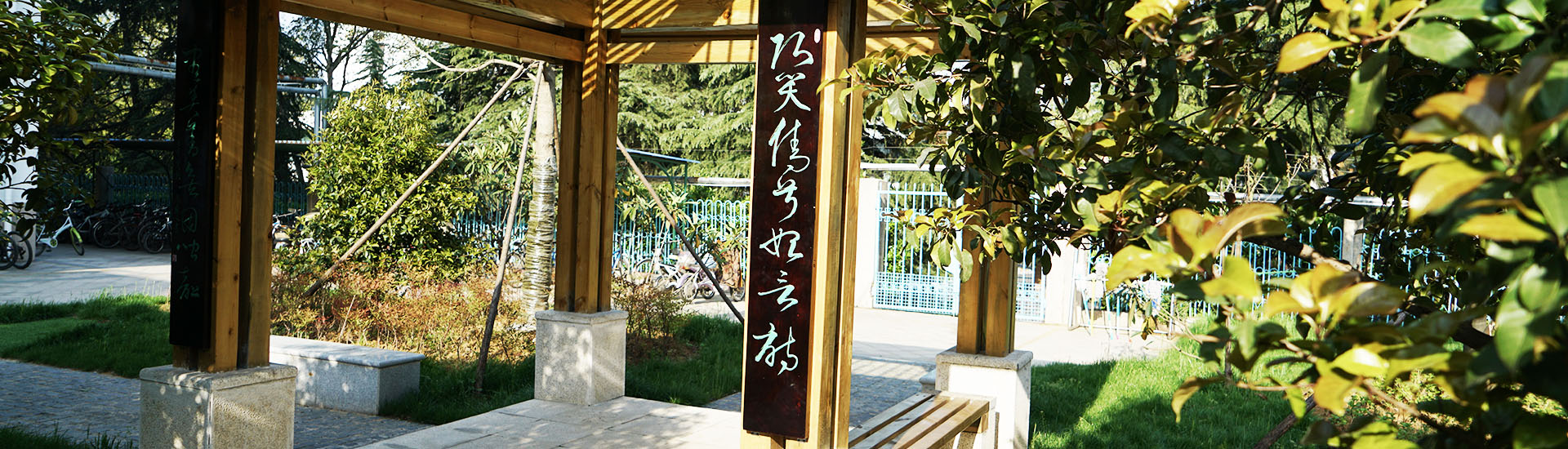 南炼banner4