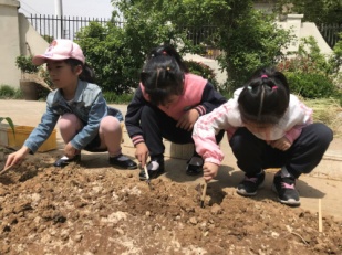 20190508祥和园区：立夏知习俗——立夏活动图文稿_html_33aa8793.jpg
