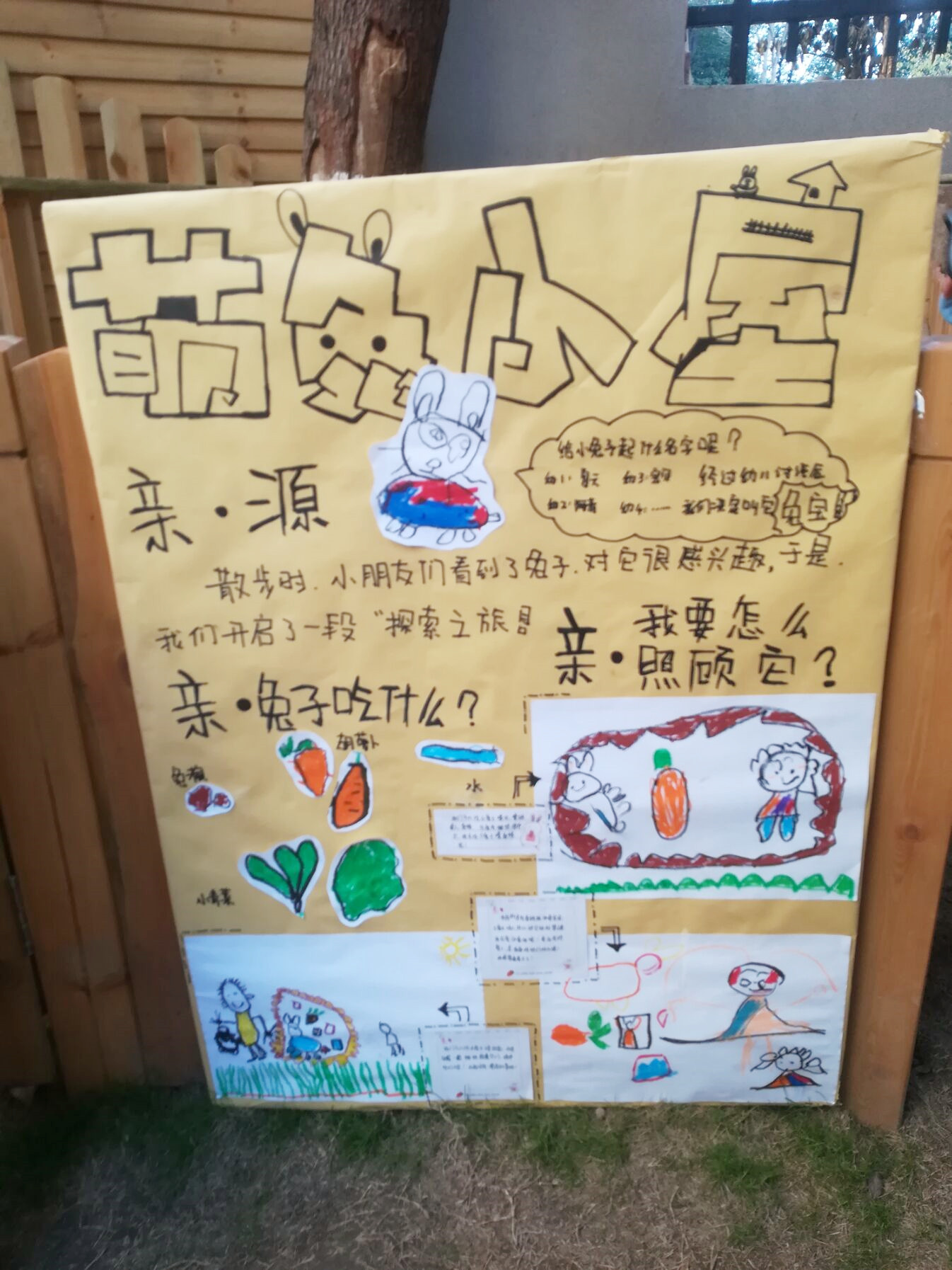2020.1.8小五班小兔项目报道_html_m6ba50f8f.jpg