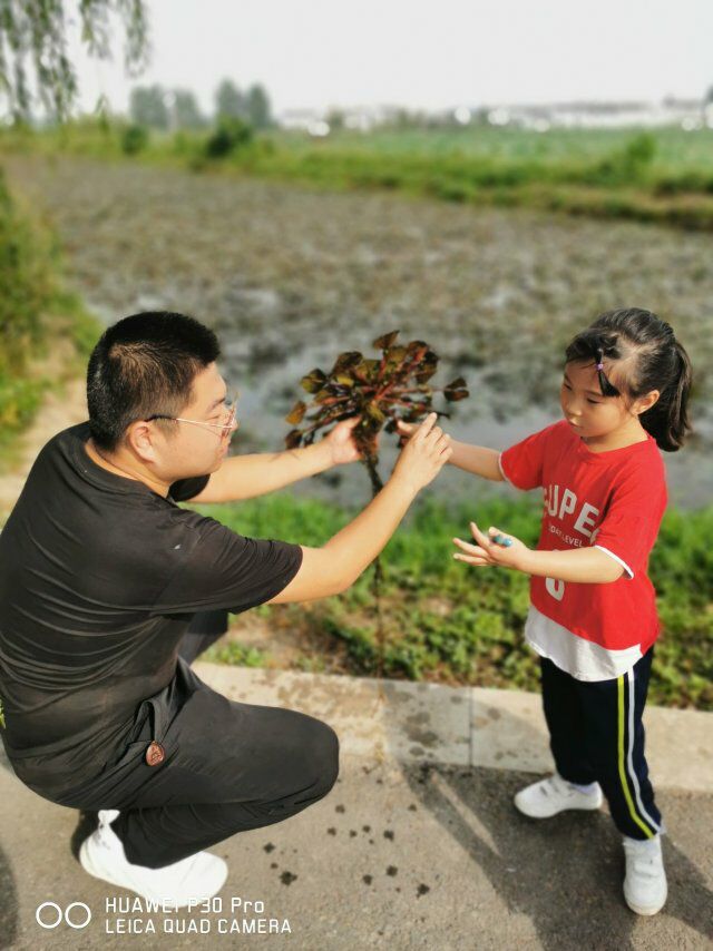 【乐活龙幼】寻找家乡的“水八鲜” ――记龙潭幼儿园靖安分园大班年级组水一方实践活动