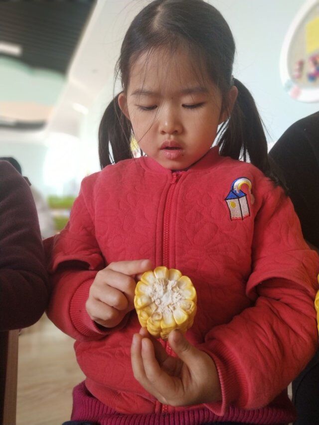 【乐活龙幼】大自然、大社会都是活教材 ----靖安幼儿园课题组教研活动报道