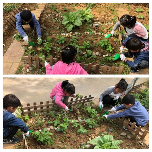 20190419谷雨活动_html_124c22a7.jpg