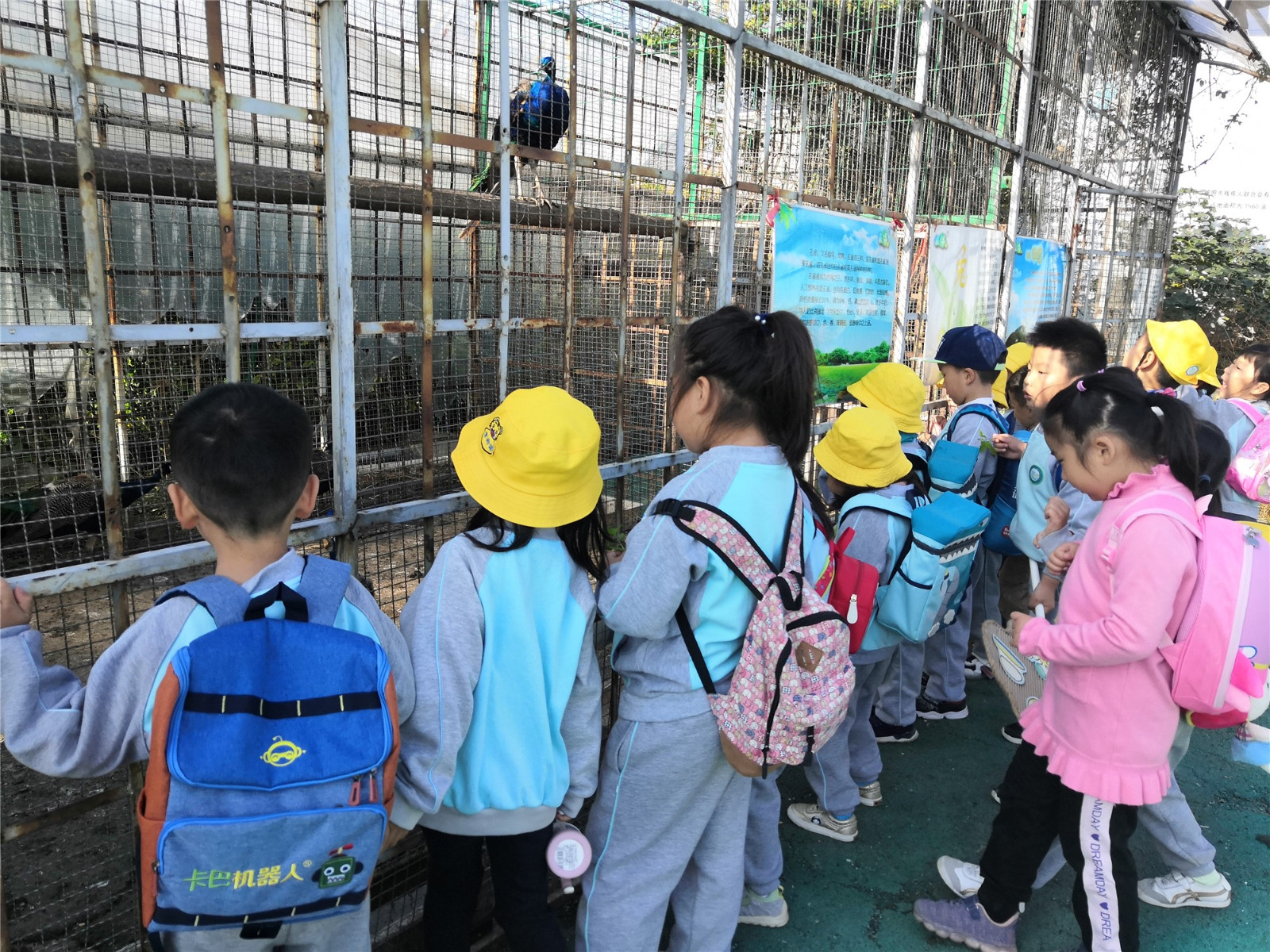 IMG_0777(20191105-145407).JPG IMG_0777(20191105-145407).JPG