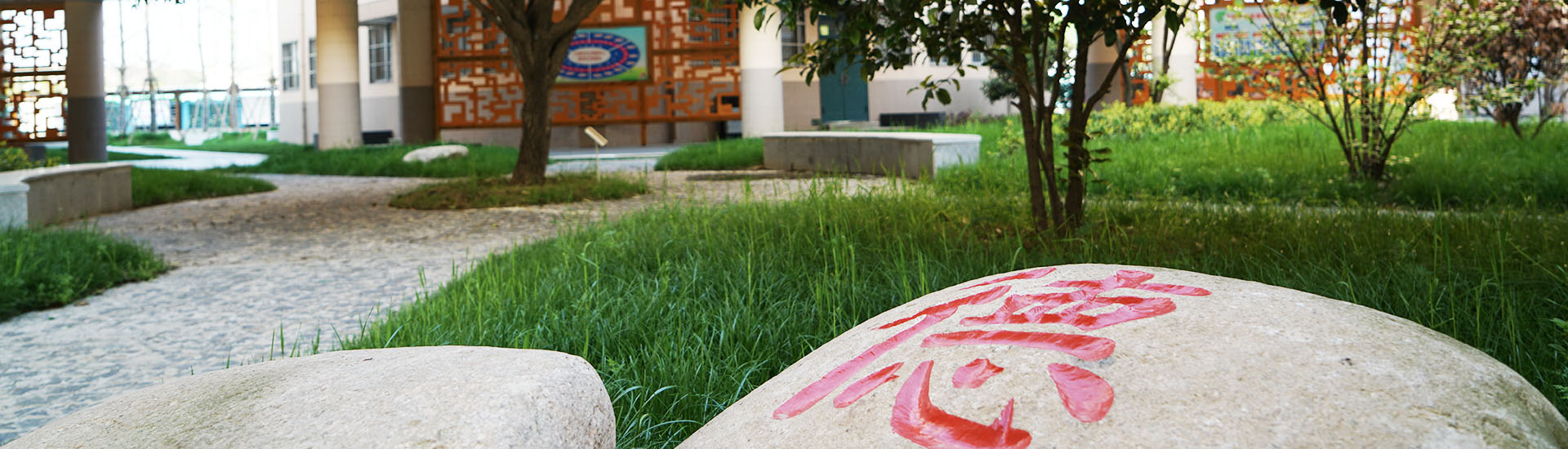 南炼banner5