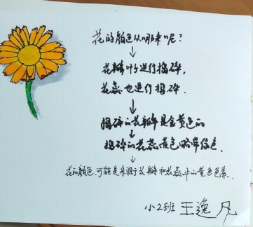 （生命迈幼·课程故事）《走进花的世界》 甘青青_html_m381d8b3d.jpg