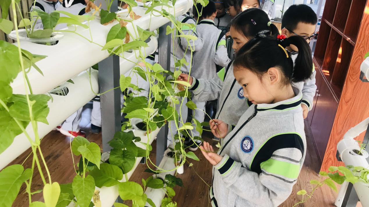 南京市栖霞区幕府山庄小学智慧校园（微信推送）_html_73e3f3b1.jpg