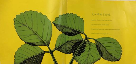 C:\Users\Administrator\Desktop\【生命迈幼❤悦读阅美】第二期“纯子姐姐讲故事”——《爷爷变成了幽灵》201804.5陈文倩\草莓 图片\8.JPG8
