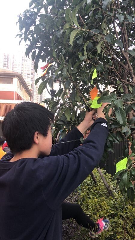 家校共育之校级家长委员会会议（41）_html_m755bf70e.jpg