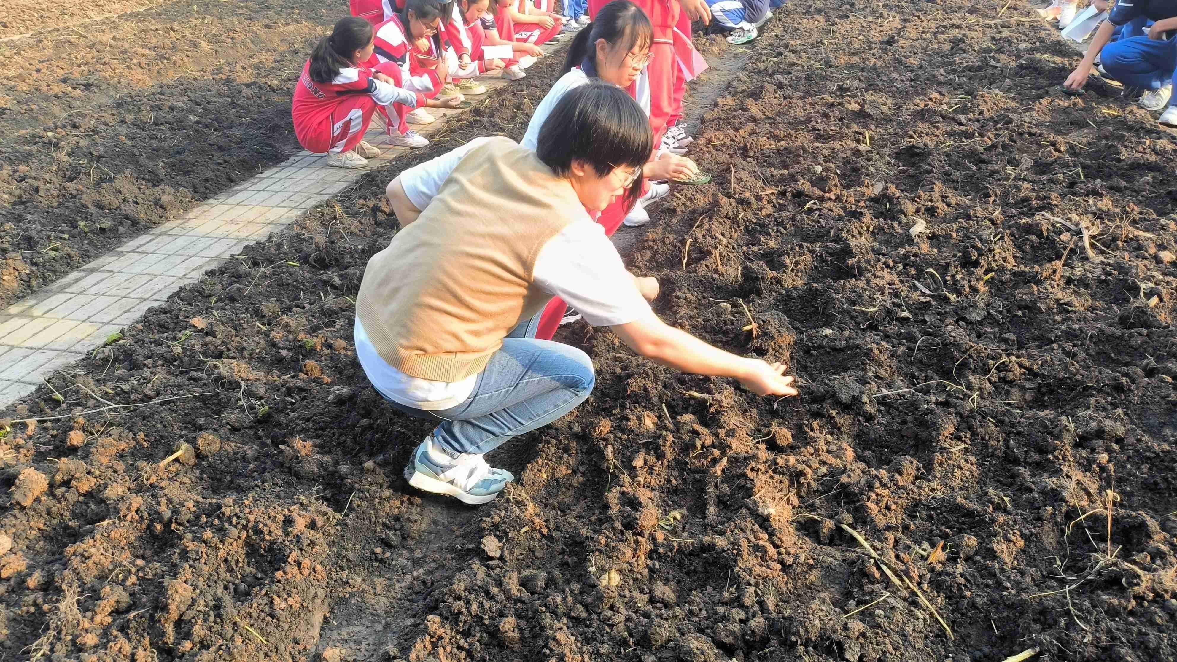 【臻美金龙】让希望播种，让梦想开花——金中仙林龙潭校区开展蔬菜种植劳动教育实践活动_html_m7b036716.jpg