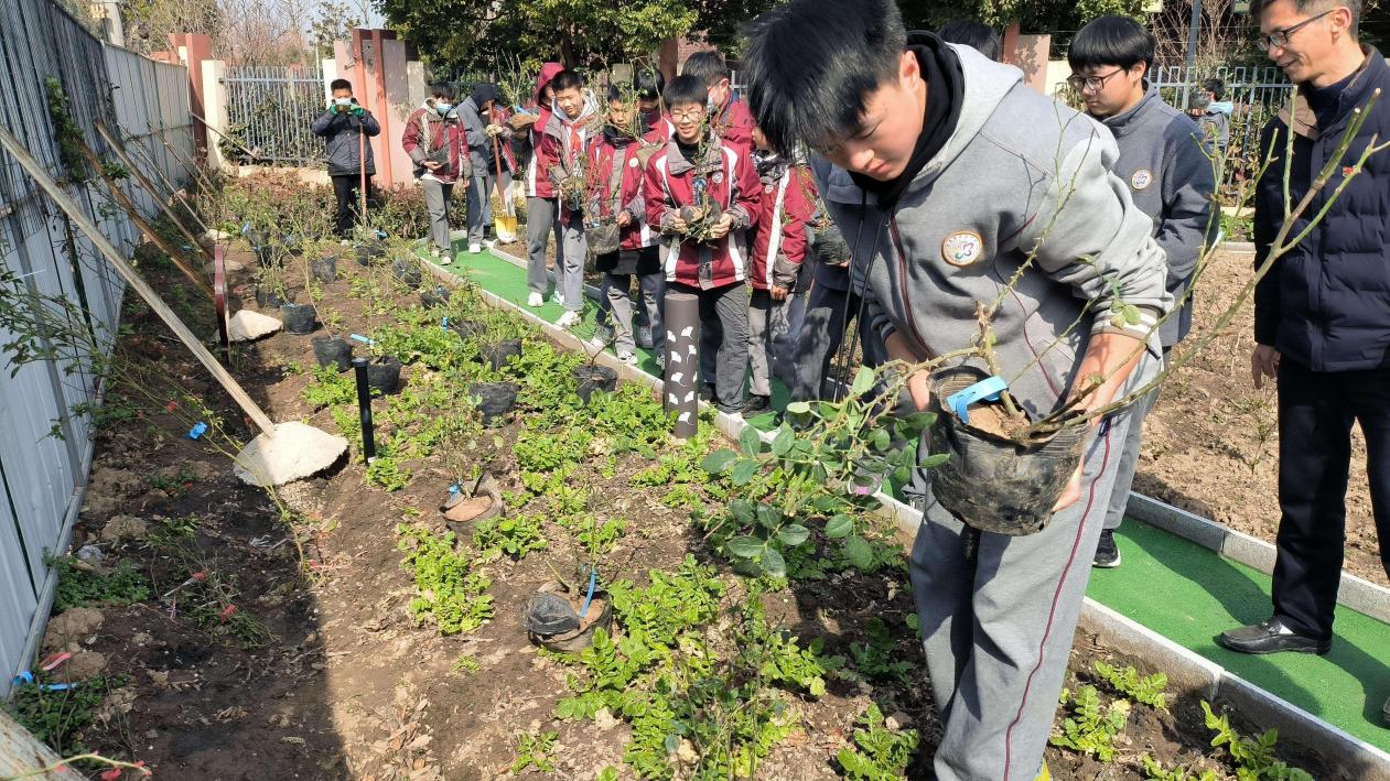 植树节活动新闻稿_html_m3e559ee3.jpg