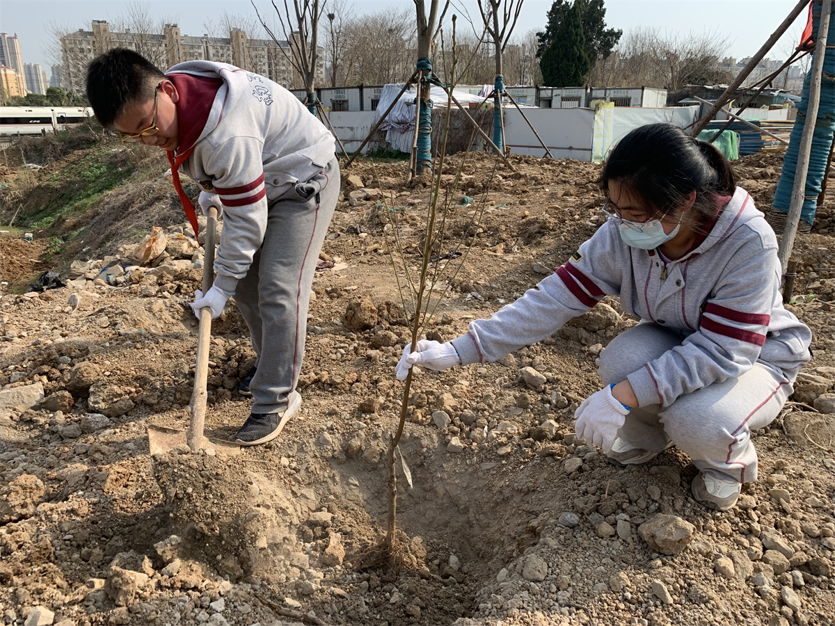 2022.3.11植下一棵树，收获万点绿——南京一中马群分校开展植树节活动_html_26e61b9a.jpg