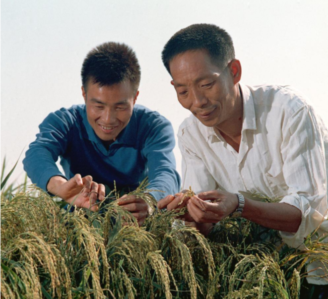 红领巾学先锋第2期_html_47eff634.png