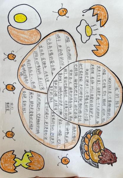 探寻“鸡蛋”奥秘新闻稿_html_mf50c565.jpg
