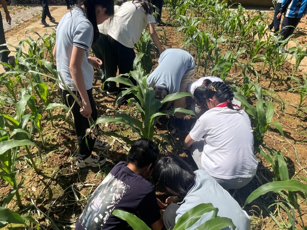 20240517“劳”以启智  “动”以润心(1)_html_312490f9.jpg