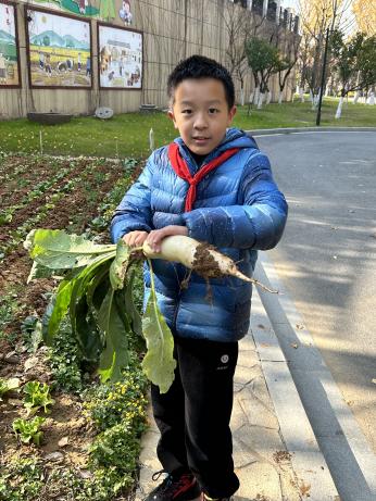 20231212快乐拔萝卜 喜获大丰收(1)_html_633ebe56.jpg