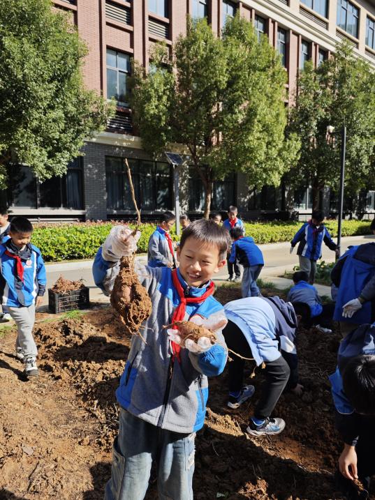 晓庄小学四(4)中队秋日采薯之旅_html_19165c1c.jpg