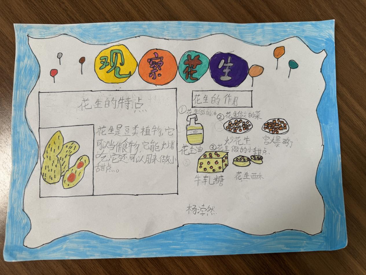 沾泥带笑：小陶娃与花生的“成长约定”_html_m18114142.jpg
