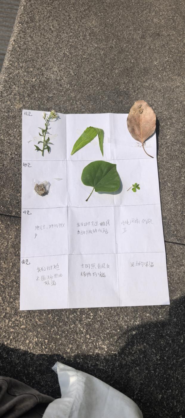 【融进心育】“活力青春，心满阳光”——实初尧化开展心理健康月活动_html_m4de4ed10.jpg