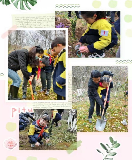 晓院二（1）班植树活动_html_7153e67c.jpg