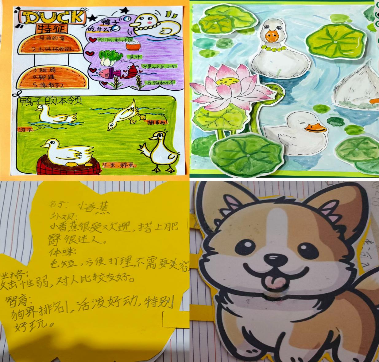 享春光之美，探动物之趣_html_m13f58fd9.jpg