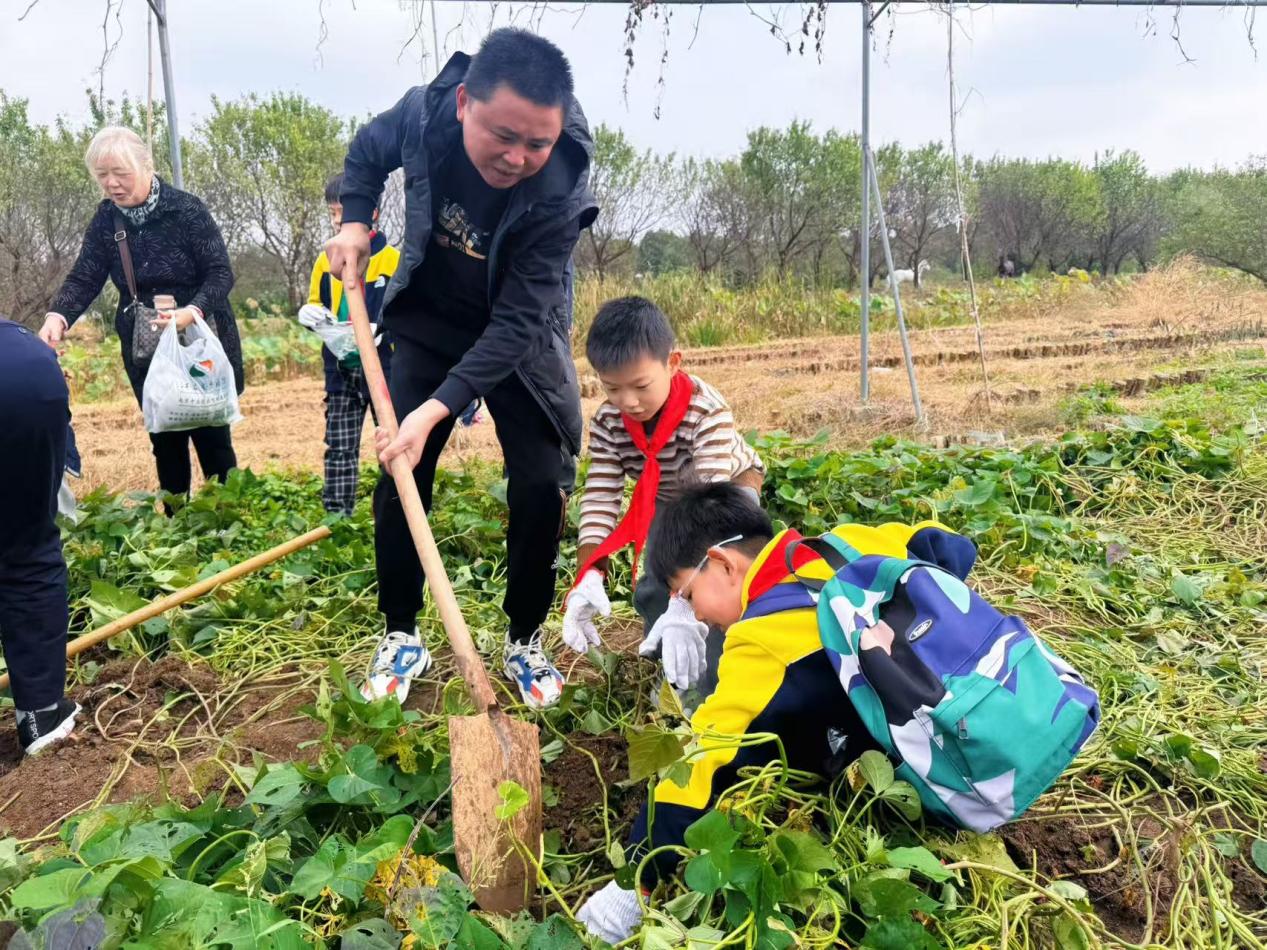 赴一场田园之约，做快乐小农夫——晓院附小三（2）班农耕体验活动2025.10(1)_html_m18819dd6.jpg