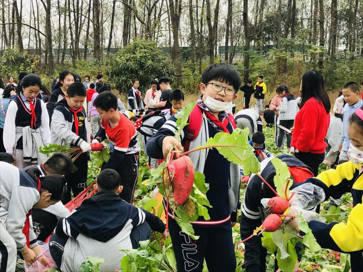 我与萝卜有约_html_60ab12ec.jpg