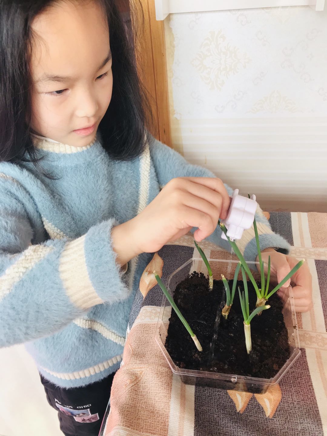寒假阶段小结(2)_html_m607755f.jpg