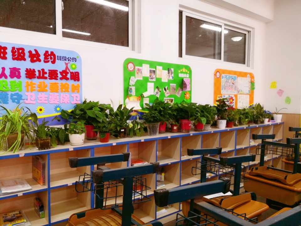 报道：校园因我而美丽(修改)_html_c5f7385.jpg