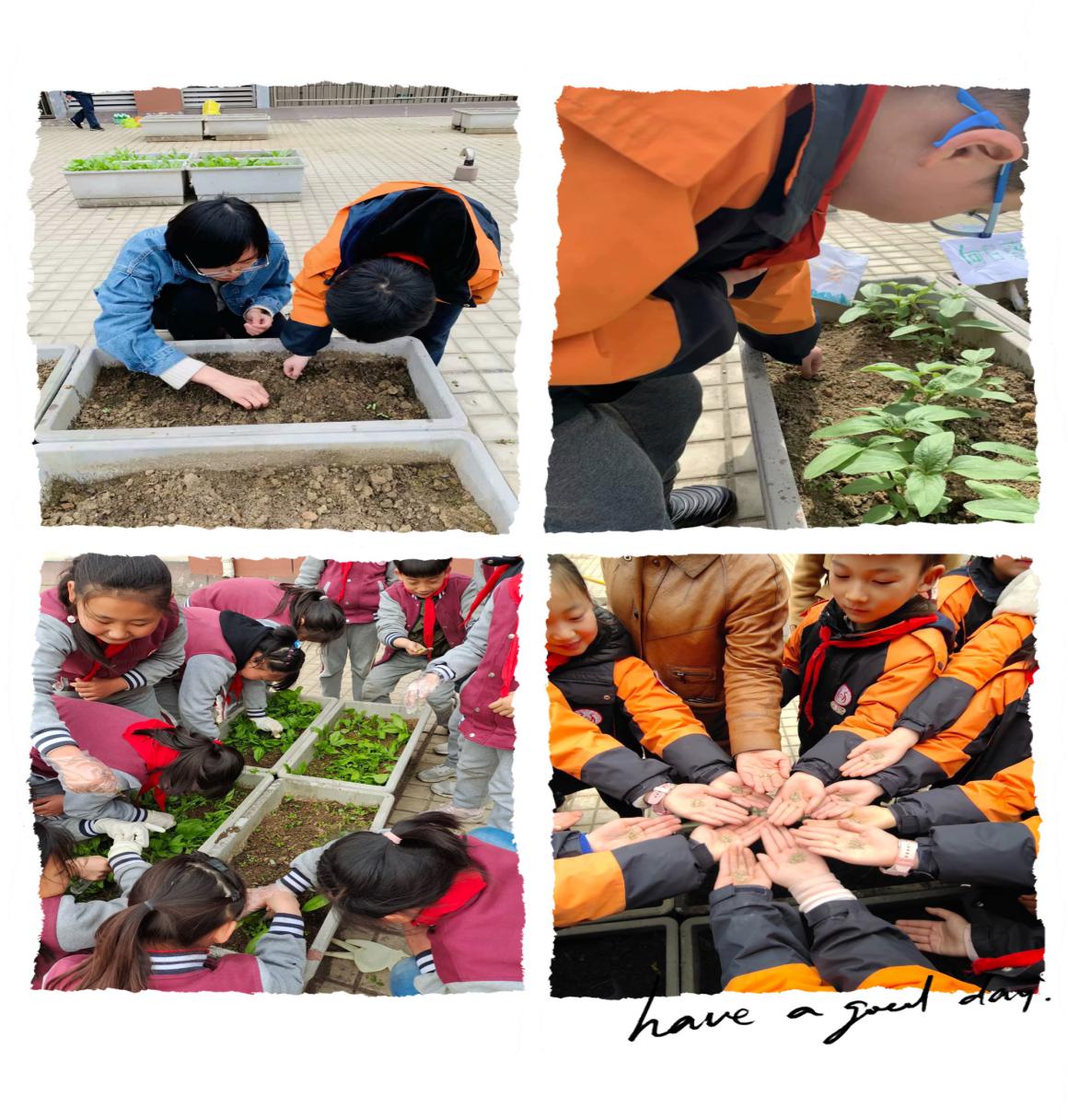云间农场新闻稿_html_6f3dc7c0.jpg