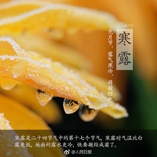 2023.9.22第20期寒露广播报道_html_m32d9b0ae.jpg