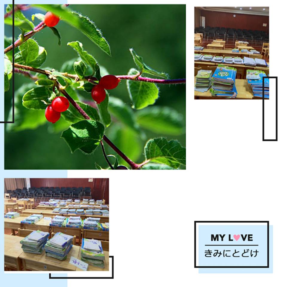 11月4日作业检查报道_html_m63628ab5.jpg