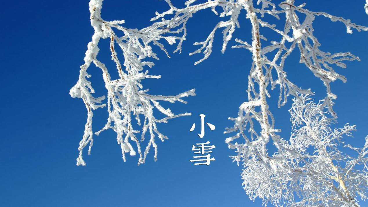 2023.11.17第24期 小雪 报道_html_294e5ec2.jpg
