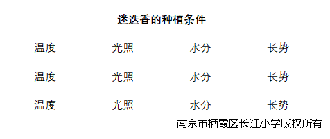 11.png