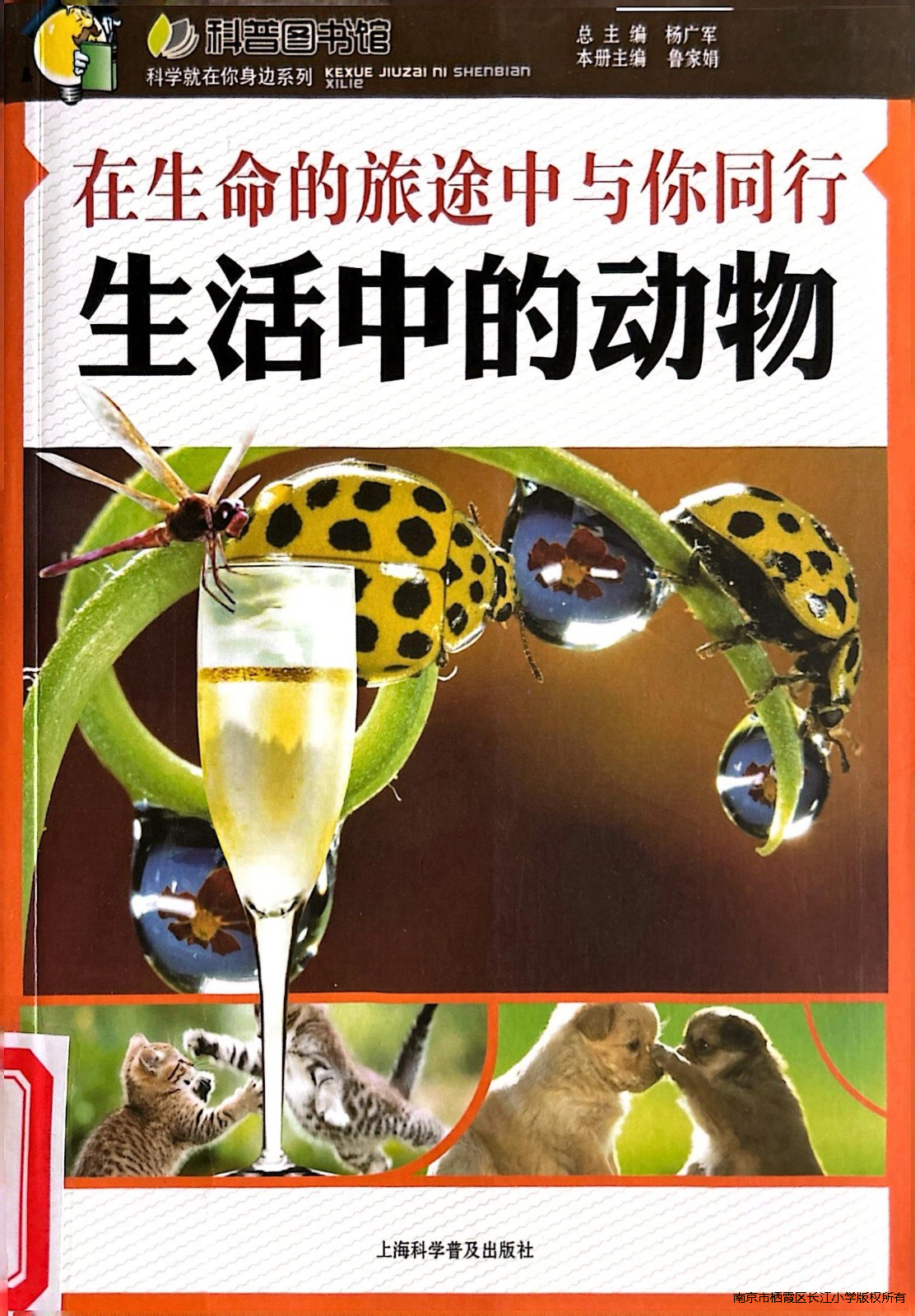 9.jpg 9.jpg