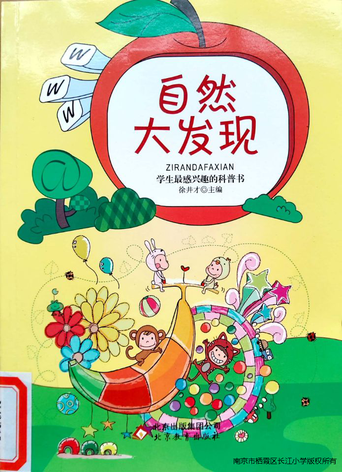 图片 3.png